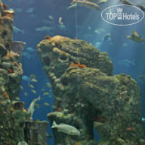 Embassy Suites by Hilton Charleston Airport Hotel & Convention Center 