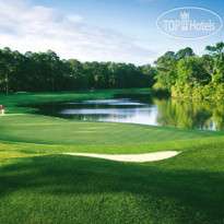 Hilton Head Marriott Resort & Spa