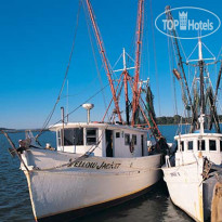 Hilton Head Marriott Resort & Spa