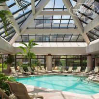 Hilton Head Marriott Resort & Spa