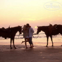 Hilton Head Marriott Resort & Spa