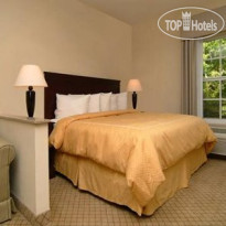 Comfort Suites Hilton Head Island Area 