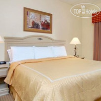 Comfort Suites New Orleans Airport Номер с двуспальной кроватью