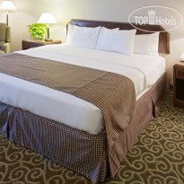 Best Western Inn At Coushatta 