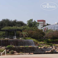 Hilton Garden Inn Shreveport 