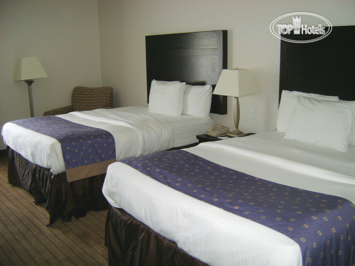 New photos from tourists La Quinta Inn & Suites   Walker Denham Springs Area 3*