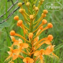 Allen Acres Bed and Breakfast 