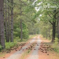 Allen Acres Bed and Breakfast 