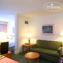 Springhill Suites By Marriott New Orleans Downtown 