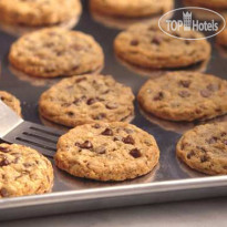 DoubleTree by Hilton Hotel New Orleans 