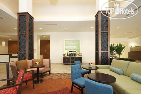 New photos from tourists Hilton Garden Inn New Orleans Convention Center 3*