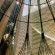 Hyatt Regency Atlanta 