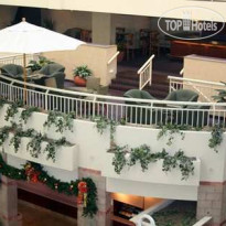 Embassy Suites Hotel Atlanta - Buckhead