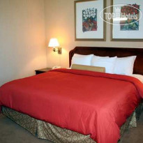 Embassy Suites Hotel Atlanta - Buckhead