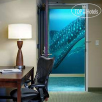 Hilton Garden Inn Atlanta Downtown