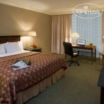 Hilton Atlanta 