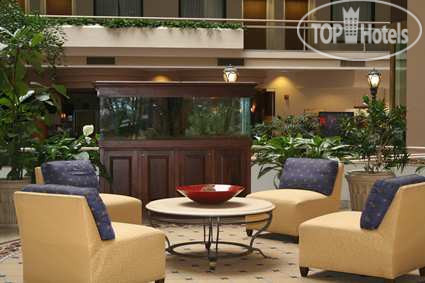 New photos from tourists Embassy Suites Hotel Atlanta - Galleria 3*