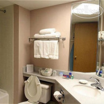 Holiday Inn Atlanta Downtown