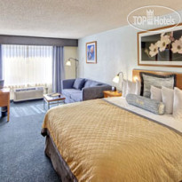 Wyndham Garden Hotel - Atlanta Downtown 