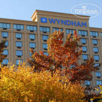 Wyndham Garden Hotel - Atlanta Downtown 