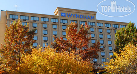 New photos from tourists Wyndham Garden Hotel - Atlanta Downtown 3*