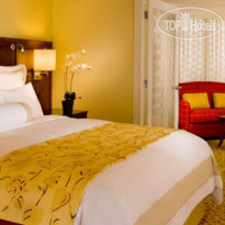 Atlanta Buckhead Hotel 