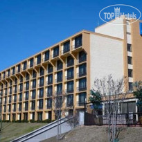 Comfort Inn & Suites Airport Camp Creek