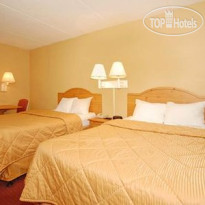 Comfort Inn & Suites Airport Camp Creek