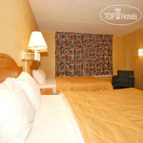 Comfort Inn & Suites Airport Camp Creek