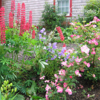 Alexander Hamilton House Cape Cod 