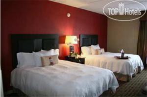 New photos from tourists Hampton Inn & Suites Houston Clear Lake-Nasa Area 3*