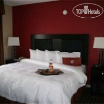 Hampton Inn & Suites Houston Clear Lake-Nasa Area Номер