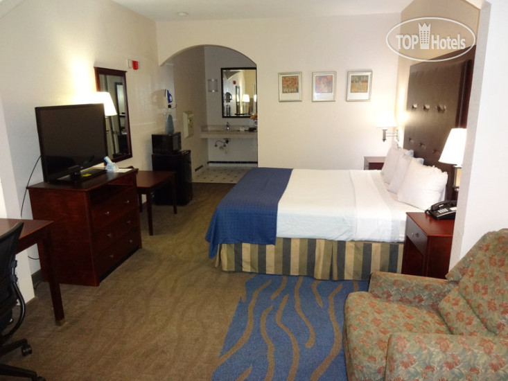 New photos from tourists Best Western Windsor Suites 2*