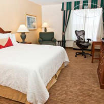 Hilton Garden Inn Addison Номер