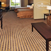 Comfort Inn Fort Worth Queen suite