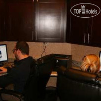 Hampton Inn & Suites Buffalo бизнес-центр