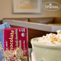 Sonesta ES Suites Houston 