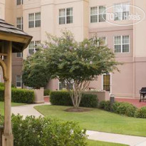 Homewood Suites by Hilton Dallas-DFW Airport N-Grapevine 