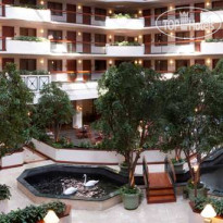 Embassy Suites Dallas - Near The Galleria 