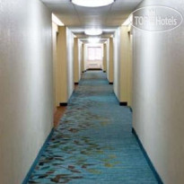 Candlewood Suites - Dallas Plano 