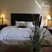 Hampton Inn & Suites Galveston 