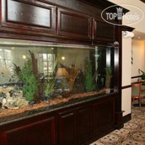 Hampton Inn & Suites Galveston 