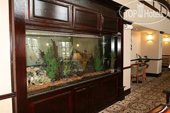 New photos from tourists Hampton Inn & Suites Galveston 3*