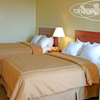 Comfort Suites South 