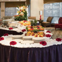 Hilton Garden Inn DFW Airport South 