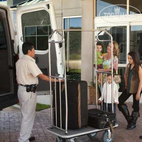 Hilton Garden Inn DFW Airport South 