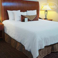 Hilton Garden Inn DFW Airport South 