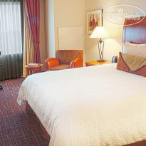 Hilton Garden Inn DFW Airport South 