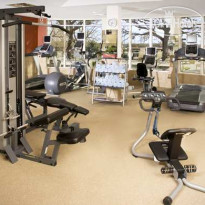 Hilton Garden Inn DFW Airport South 