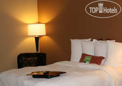 New photos from tourists Hampton Inn Houston NASA-Johnson Space Center 3*